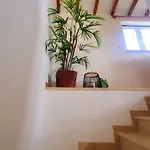 Quinta Vida カントリーハウス
