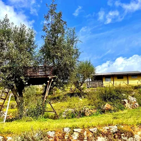 Quinta Vida Alvaiázere