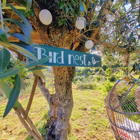 乡村民宿 Quinta Vida Alvaiázere