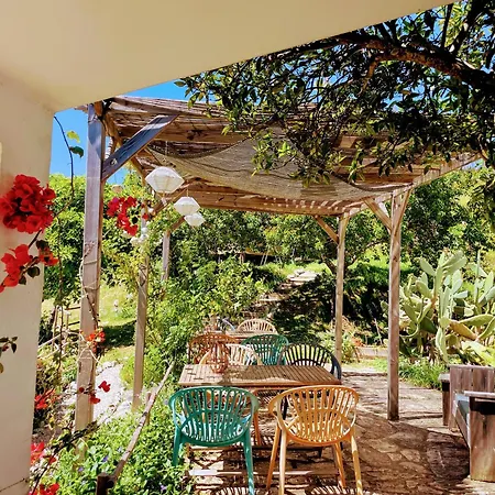 Kır Evi Quinta Vida Alvaiázere