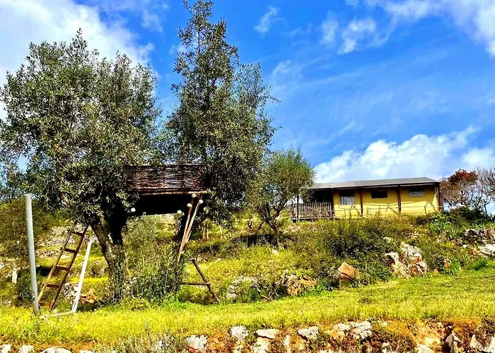 Quinta Vida Alvaiázere